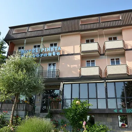 ホテル Pineta Loiano