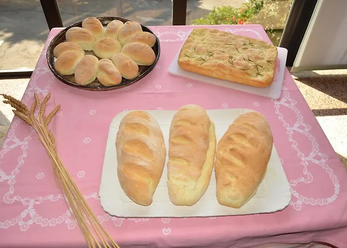 Pineta Ξενοδοχείο 3*