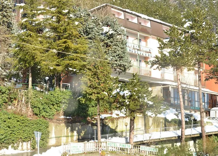 Pineta Ξενοδοχείο 3*